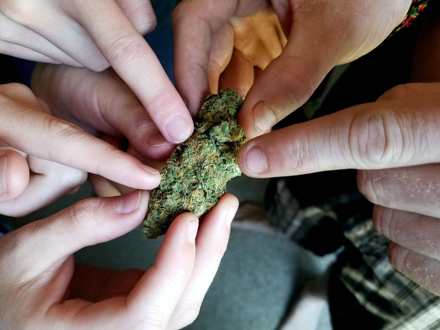 Planning an Effective Cannabis Tolerance Break