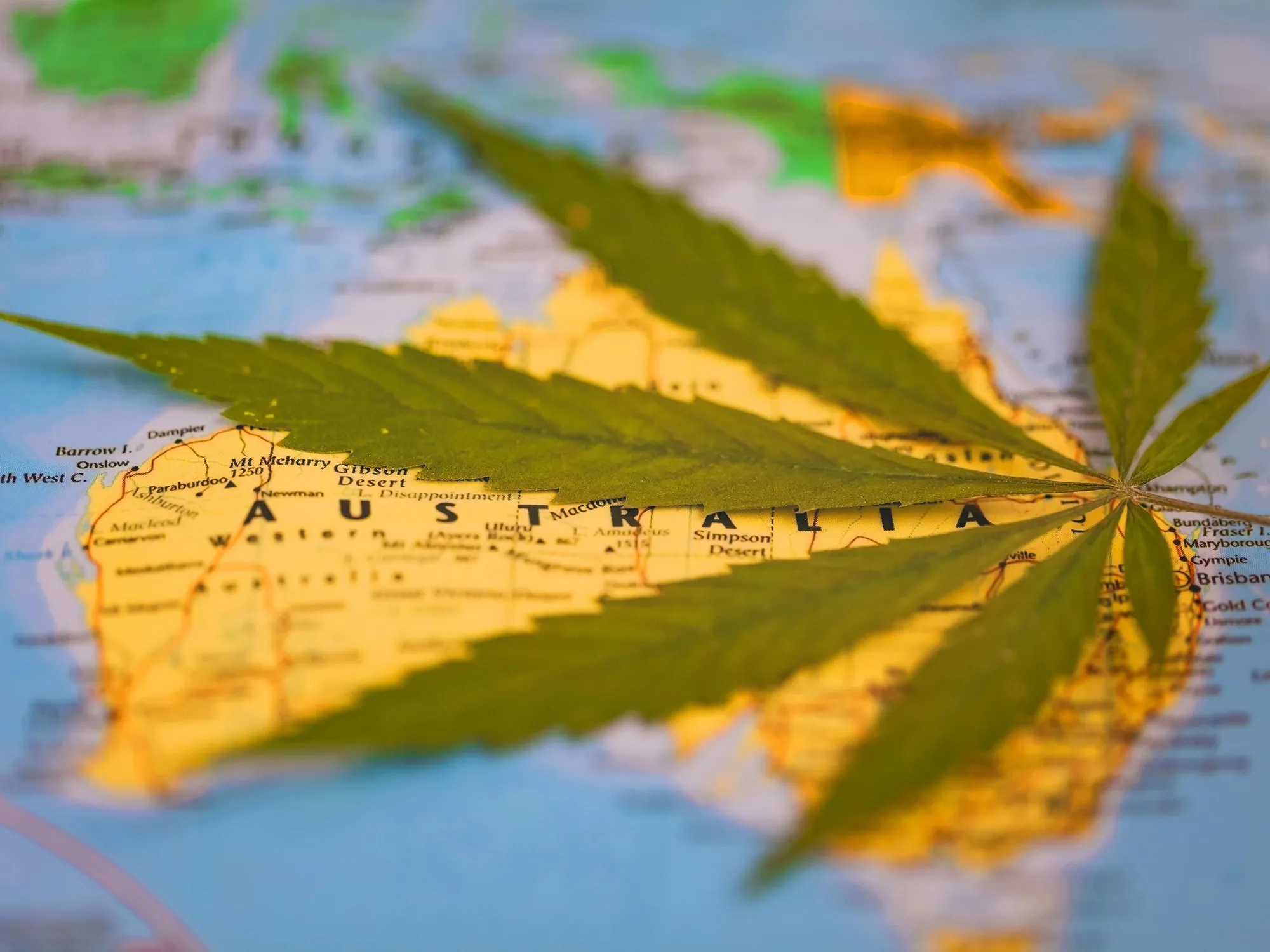 Possession Limits for Recreational Cannabis in Australia