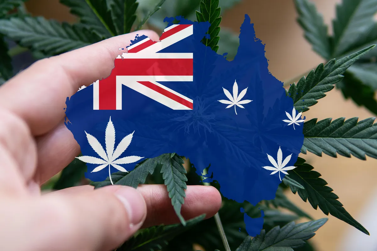 Cannabis Tolerance Breaks in Australia (2025 Reset Guide)